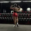 cloclo.fit