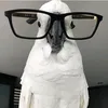 missing_cl0ud