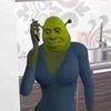 shrek.2.on.blu.ray