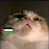 oyen4lyfer