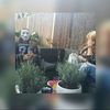 myniaa31