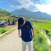 cengkeh_pro