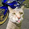 _kacperw22_
