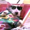 cool_kidd0_