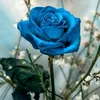 alice_moraes_2002