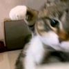 sioyen_123