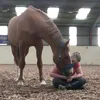 mrkicb_equestrian