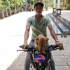 hoaithang47