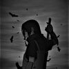 dom_torreto242
