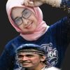 sulatrianik