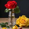 user411107754