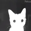 jens_jacquemyns