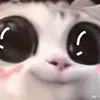 im.naomimi