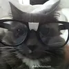 allyyzzie