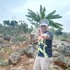 thelegenda13