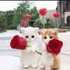 breezeofhope10
