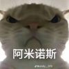 xbndvnyf