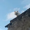 khangem.112