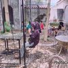 anayaauristela