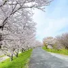 maihuong271221