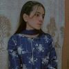 sindhi.com8