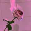 видео про эстетику🍑🌺