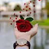 mm_h537