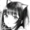 meowkrq__