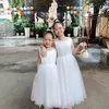 trinhvo.2711