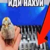 newakkaunt3