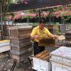 honeyman81
