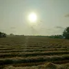 tdv123455789