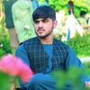 haroonmomand006