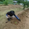 kazushikutamo