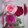 zahra212543789046