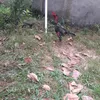 toan.nguyen4795