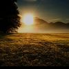 hans.suhana98