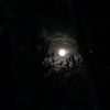 ayubchik_54