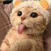 phucwubee