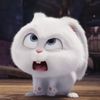 wanaxtt