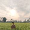 aadityachy_2119