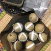 vutuananhgialamhanoi
