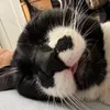 nanarosar