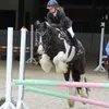 cecile_hamels