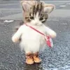 elnrmrsgl