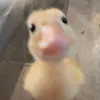 dustykkkj
