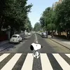 zzoe_ab