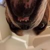 urfavlilbuddy