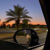 lar_733
