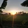 johnyantonio21